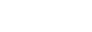 SpaceX* logo