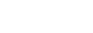 Palantir* logo
