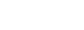 PayPal* logo